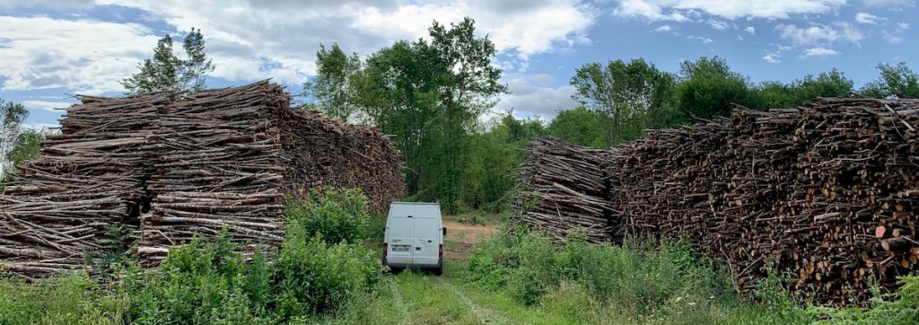 A van is dwarfed by piles of narrow logs.